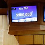 Hijo de Curlin que costó $900.000 fue la vedette de la tarde en el ring de ventas