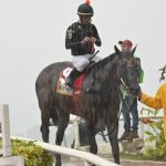 Su ajuste contenido lo deja listo para el Magno Evento en La Rinconada
