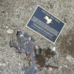 El enigma del “agujero” de Chicago: no fue una rata